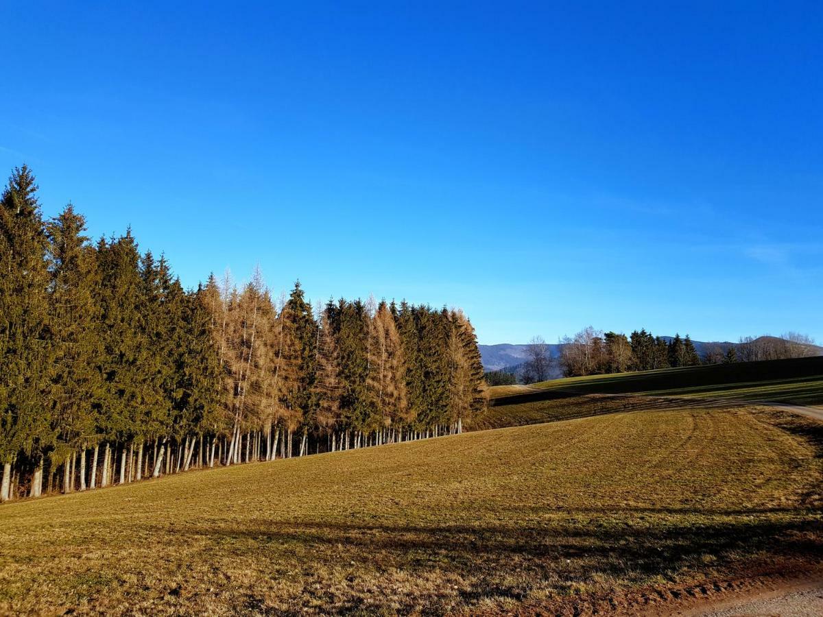 Modernes Appartement Schwarzwald Naehe Freiburg Winden im Elztal Exterior foto